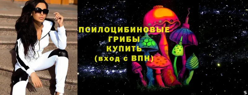 Псилоцибиновые грибы Magic Shrooms  даркнет сайт  Заозёрск 